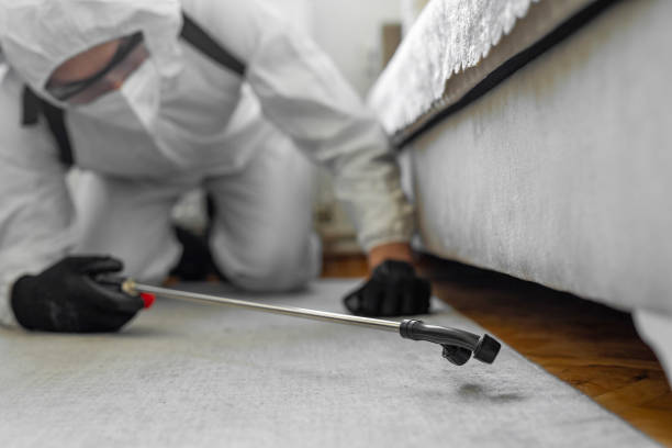 Professional Mosquito Control technician working in Edison, GA