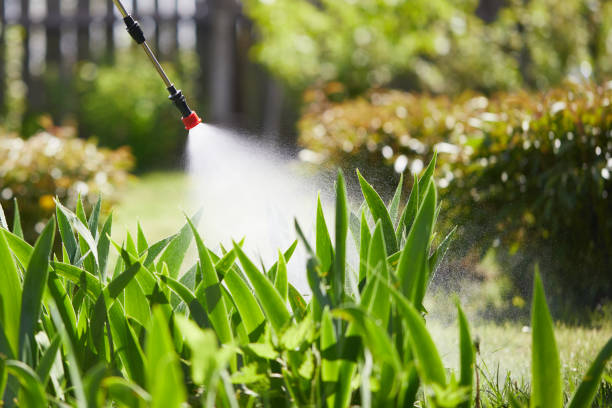 24/7 Emergency Mosquito Control experts in Edison, GA