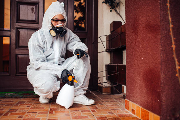 Reliable Mosquito Control contractor in Edison, GA by Nex Pest Control